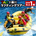 【ふるさと納税】TAC十勝川ラフティングツアー ラフティング ツアー 水遊び 招待券 ツアー券 旅行券 北海道 新得町【R-1901】