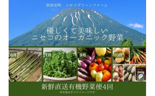 
【数量限定】北海道 ニセコ 旬の有機栽培野菜セット 定期配送4回分 オーガニック 野菜詰め合わせ お取り寄せ グルメ
