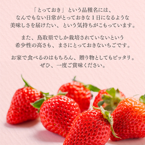 MI-03 とっておき苺【約200g×4パック】