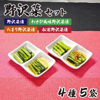 ふるさと納税 岡谷市 野沢菜セット 4種5袋