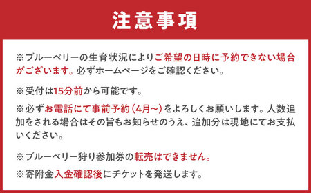 ブルーベリー狩り 80分食べ放題 ペアチケット 大人2名様 ブルーベリー 体験チケット[AEBZ008]