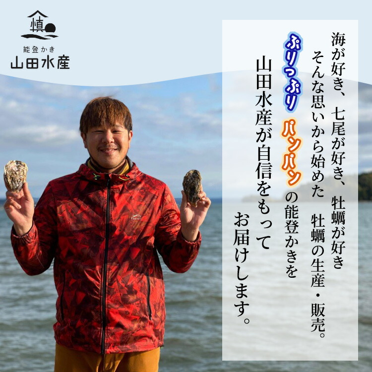 能登かき むき身800g～850g（箱入り）/石川県産/世界農業遺産「能登の里山里海」からお届け 加熱用 カキフライ 牡蠣鍋【カキ 牡蠣 養殖 魚介類 石川県七尾市】※離島への配送不可 ※2025年1