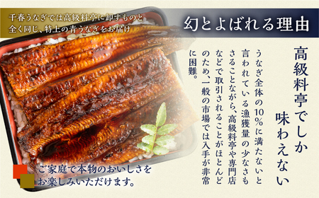 最高級 特上 幻の青うなぎ 50尾 うなぎ