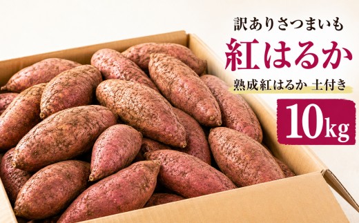 【先行予約 2026年9月中旬以降発送】【訳あり】佐渡島産さつまいも 紅はるか 10kg 不揃い・傷あり | 新潟県産さつまいも 新潟産さつまいも 佐渡産さつまいも 佐渡島産さつまいも 紅はるか べにはるか さつまいも サツマイモ 芋 いも 焼き芋 やきいも わけあり 家庭用 大容量 にいがた さど 新潟県 佐渡市