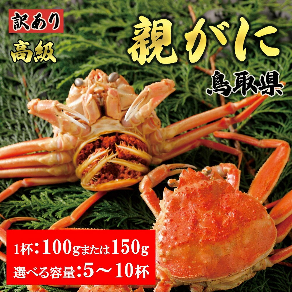 【ふるさと納税】内容量が選べる【2025年11月発送】鳥取県産 特撰 親がに 姿【セコガニ】（茹）【訳あり】100gまたは150g 5～10杯 | 蟹 生 ナマ かに セコガニ 訳あり 家庭用 鳥取県産 北栄町 おすすめ 人気