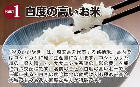 米 新米 【令和7年産】10kg (5kg×2袋) 彩のかがやき  | 白米 先行予約 R7 桜国屋 埼玉県 北本市