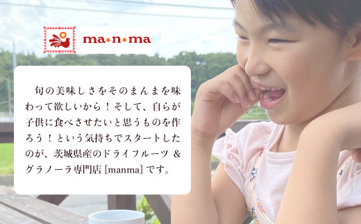 ドライフルーツ&グラノーラセット【 いちご メロン スイカ キウイ りんご トマト 柿 みかん 果物 フルーツ 茨城県 つくば市 】