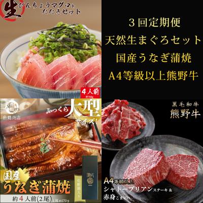 ふるさと納税 九度山町 【毎月定期便】紀州和歌山うまいもんセットC(生まぐろ・うなぎ蒲焼・熊野牛)全3回