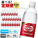 【ふるさと納税】【本数と回数が選べる定期便】 ウィルキンソン タンサン 500ml 24本 48本 アサヒ飲料_ 炭酸水 定期便 強炭酸 炭酸飲料 飲料 ペットボトル メーカー ストレート ソーダ 割材 ハイボール アウトドア キャンプ 常温 ランキング 人気 山梨 【G4050016】