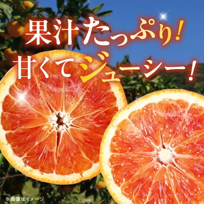 【直営限定】《先行予約・2026年3月～発送》希少柑橘 ご家庭用 ブラッドオレンジ　サイズ混合/ご家庭用/1kg(傷み補償200g)_AB7374_Y