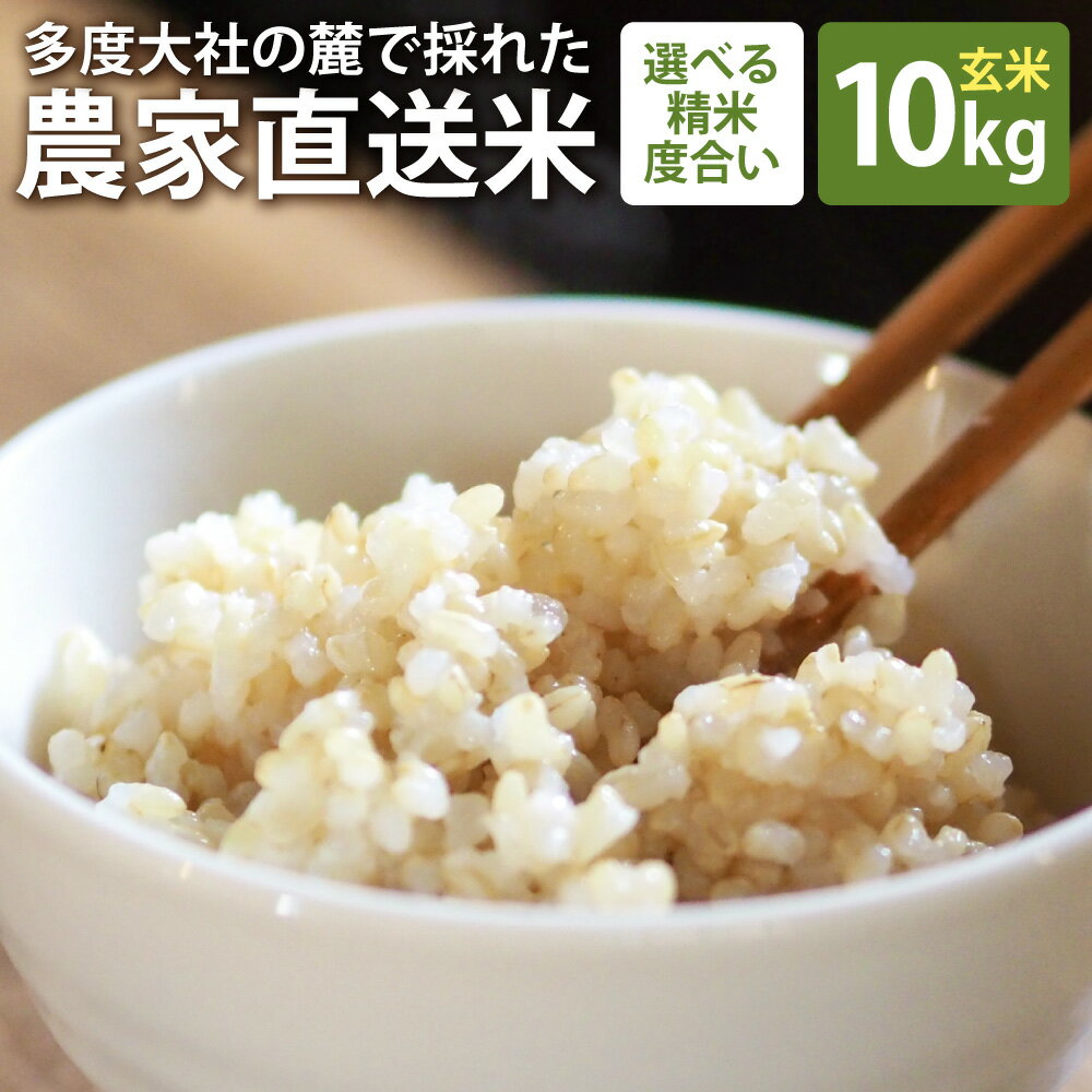【ふるさと納税】車久米穀販売 多度大社の麓で採れた農家直送米 玄米 10kg コシヒカリ 令和7年産 お米 こめ 単一原料米 ごはん ご飯 三重県産 国産 三重県 桑名市 送料無料