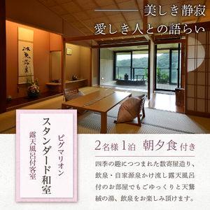 飲泉、自家源泉かけ流しの宿観音温泉「ピグマリオン・スタンダード和室」ペア宿泊招待券（1泊2食付） 旅行 伊豆