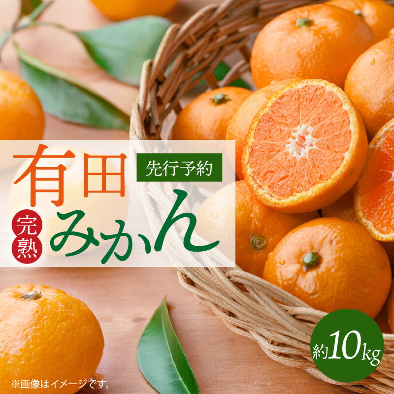 【ふるさと納税】【限定】 【2025年 先行予約】 完熟 有田みかん 約 10kg 厳選 美味しい 味わい コク 深い 酸味 甘み 濃厚 完熟みかん ミネラル 果物 果実 柑橘 フルーツ みかん 温州みかん お取り寄せ お取り寄せフルーツ 産地直送 和歌山県 湯浅町 紀州有田産 送料無料
