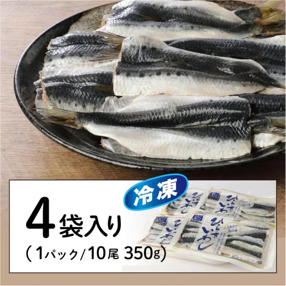 境港産 無塩いわしひらき(計40尾)
