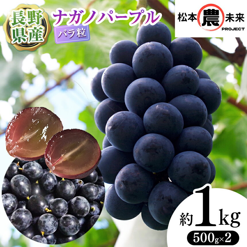 【ふるさと納税】〔松本農未来project〕信州松本産 ナガノパープル バラ粒 1kg(500g×2パック)│信州 ナガノパープル フルーツ 果物 ぶどう 長野県 松本市 松本市 ふるさと納税