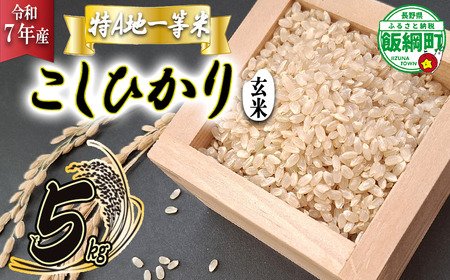 【 特A一等米 / コシヒカリ 】 玄米 こしひかり 5kg ( 令和7年産 ) ふるさと振興個社 沖縄県への配送不可 2025年11月上旬頃から順次発送予定 コシヒカリ 玄米 お米 信州 予約 農家直送 長野県 飯綱町 [1559]
