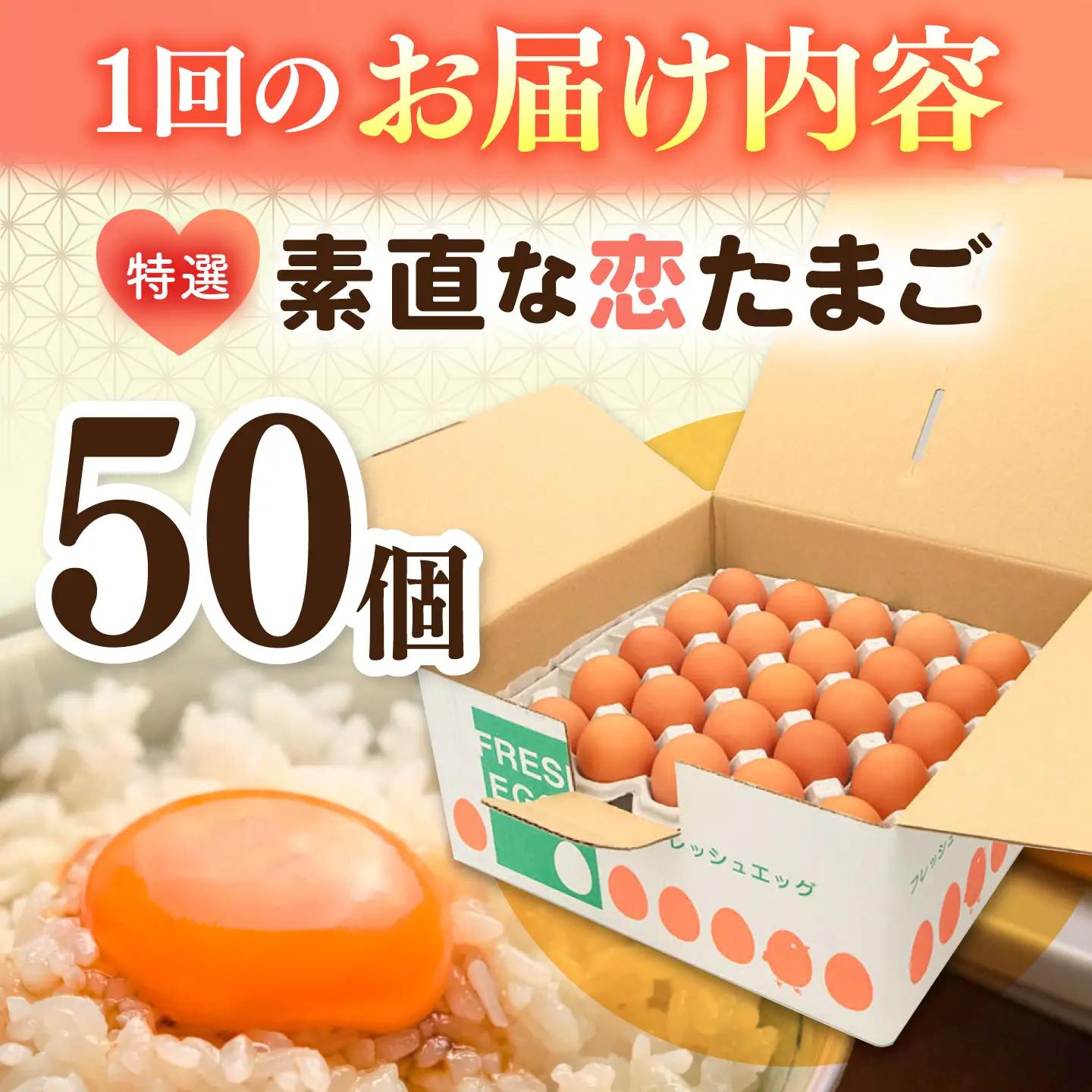 【全3回定期便】特選 素直な恋たまご 50個 《壱岐市》【しまのたまご屋さん】 [JAP023] 卵 たまご 鶏卵 玉子 ギフト 国産 卵かけご飯 たまごかけご飯 のし 定期便[JAP023]