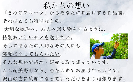 ウメ 梅ジュース 梅ソーダ ドリンク / 紀州南高梅シロップ　2本セット　化粧箱入り【kmf009】