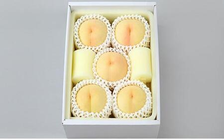 桃 2024年 先行予約 ご家庭用 白桃（晩生種） 5～6玉 合計約1.5kg もも モモ 岡山県産 国産 フルーツ 果物 ギフト [No.5220-0405]