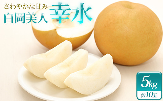 
                  小川梨園の梨　幸水　5kg　【11246-0357】
                