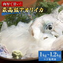 【ふるさと納税】五島産 アオリイカ 1〜1.2kg 五島市/マルセイ水産[PBT003]