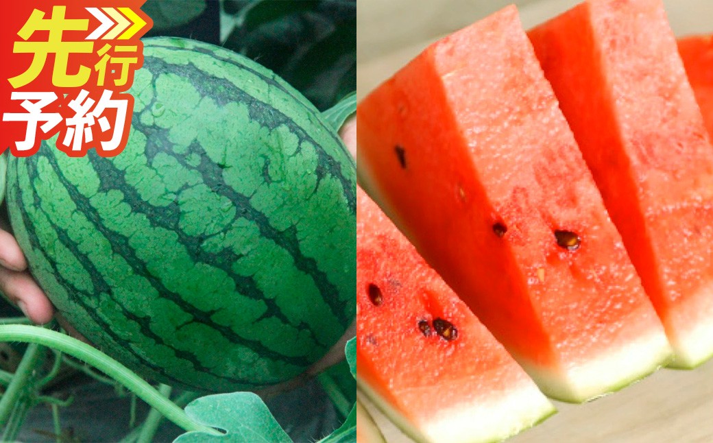 
                  熊本市植木町産 小玉すいか 2玉 合計4～5kg【2027年4月下旬～5月下旬発送予定】 スイカ 西瓜 果物 くだもの フルーツ
                