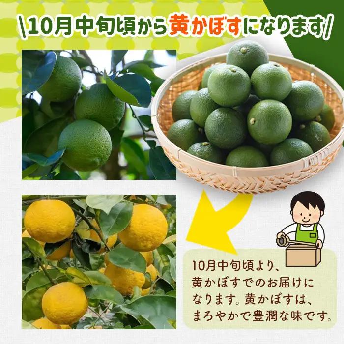 ＜2026年8月上旬以降お申込み順に発送＞露地カボス(約5kg)かぼす カボス 柑橘 特産品 大分県産【107100403】【あいはな農園】