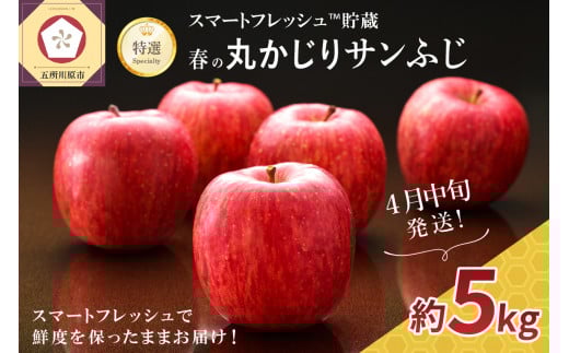 【2026年4月中旬発送】りんご春のサンふじ特選丸かじり5kgスマートフレッシュTM貯蔵