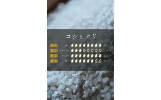 コシヒカリ　5kg×２袋　計10kg　令和7年産　会津　喜多方産【07208-0272】