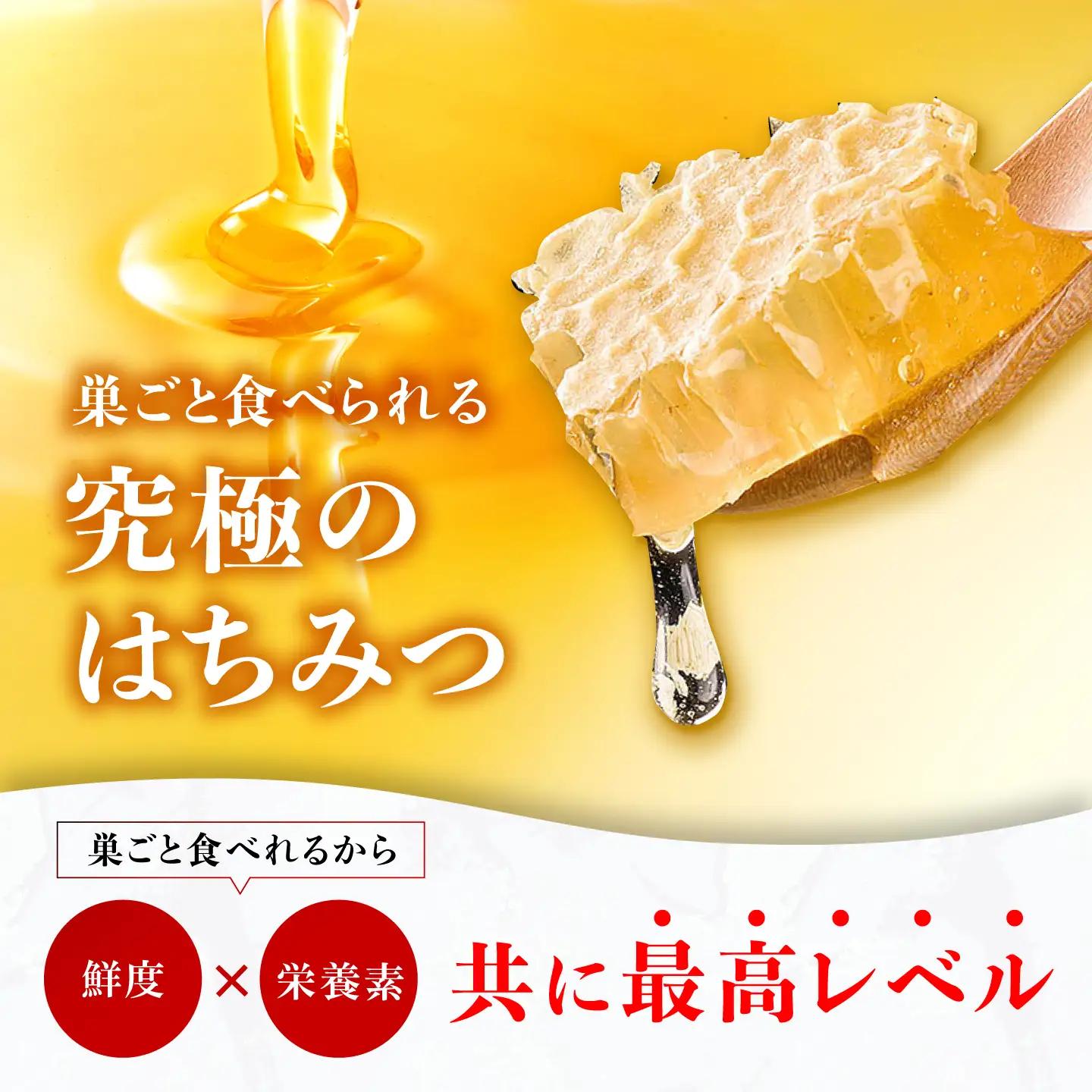 国産巣みつ 300g×4箱　広川町/株式会社九州蜂の子本舗[AFAI048]