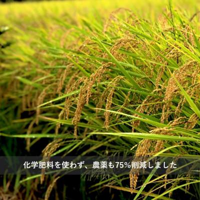 ふるさと納税 久喜市 令和7年産  『てまひま米』　こしひかり　精米4kg(2kg×2) |  | 03