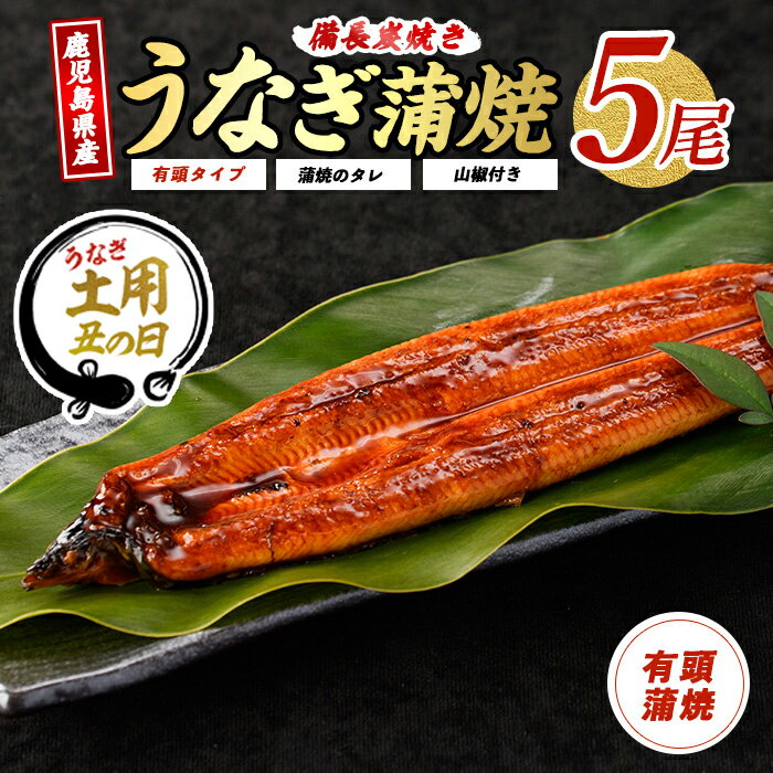 【ふるさと納税】【丑の日に最適】7/9〜19までにお届け！(お申込みは7/13まで)＜お届け回数が選べる＞鹿児島産の鰻蒲焼贅沢セット！(通常：有頭背開き5尾・タレ、山椒付／定期便：有頭背開き5尾・タレ、山椒付×3回) うなぎ 鰻 ウナギ 鹿児島 国産 蒲焼き 備長炭 冷凍 うな