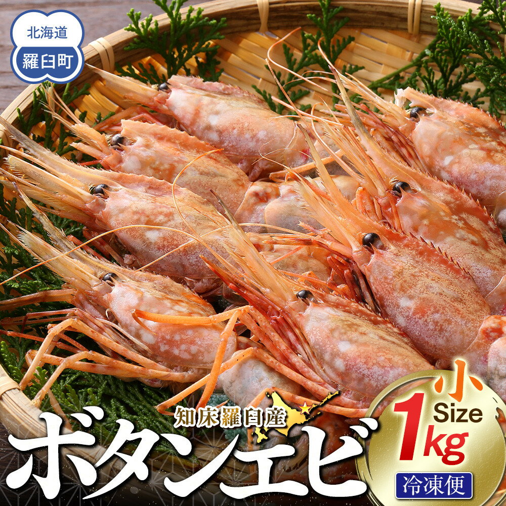 【ふるさと納税】知床羅臼ボタンエビ(小) 1kg えび 海老 羅臼町 北海道 魚介 海産物 刺身 海鮮丼 天ぷら 冷凍 生産者 支援 応援