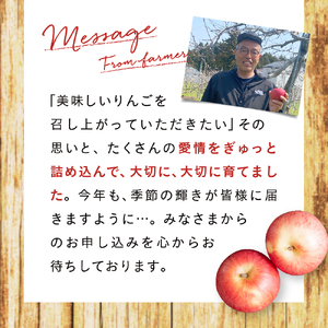 【先行予約】【希少品種】令和6年産 りんご サンふじ はるか セット 贈答用 5kg (14～18玉)  11月下旬発送予定 数量限定 希少 人気 お試し 甘い 旬 果物 リンゴ フルーツ 林檎 岩手