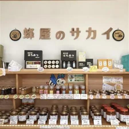 プロポリスエキスみつばちの極み　35cc×3本セット　5年熟成_惣菜・加工品   _【1445877】