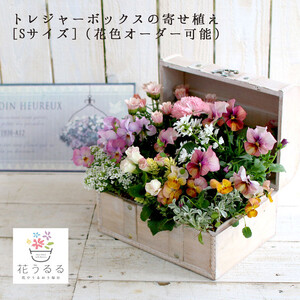 D015花うるるおまかせ寄せ植えﾄﾚｼﾞｬｰBOX[Sｻｲｽﾞ](玄関春夏秋冬ｾｯﾄｷﾞﾌﾄ花ﾌﾗﾜｰｷﾞﾌﾄﾌﾟﾚｾﾞﾝﾄ完成品鉢植えお花誕生日女性寄植え母の日妻ｶﾞｰﾃﾞﾆﾝｸﾞ新築祝い記念日開店祝いｱﾚﾝｼﾞﾒﾝﾄおしゃれ鉢完成品屋外
