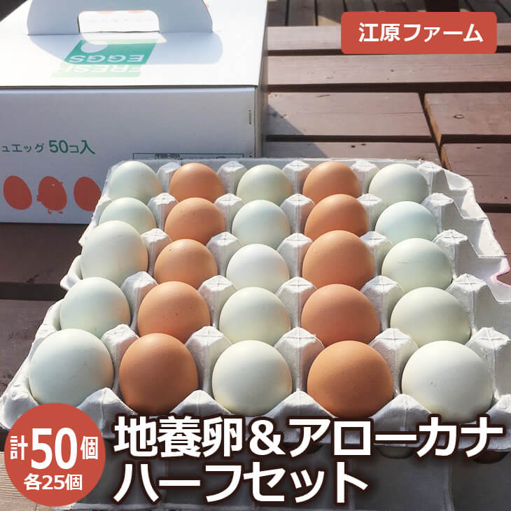 【ふるさと納税】ふるさと納税 たまご 江原ファーム 地養卵＆アローカナハーフセット 計50個 割れ補償 卵 食べ比べ 玉子 たまご タマゴ 生卵 鶏卵 産みたて アローカナ 地養卵 セット 新鮮 濃厚 健康 青い卵 TKG 国産 ギフト 贈答 贈り物 お歳暮 プレゼント 農家直送 _AG08