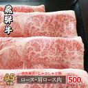 【ふるさと納税】牛肉 飛騨牛 すき焼き セット ロース 又は 肩ロース 500g 黒毛和牛 A5 美味しい お肉 牛 肉 和牛 すき焼き肉 すきやき すき焼肉 しゃぶしゃぶ しゃぶしゃぶ肉 【岐阜県瑞穂市】　牛肉