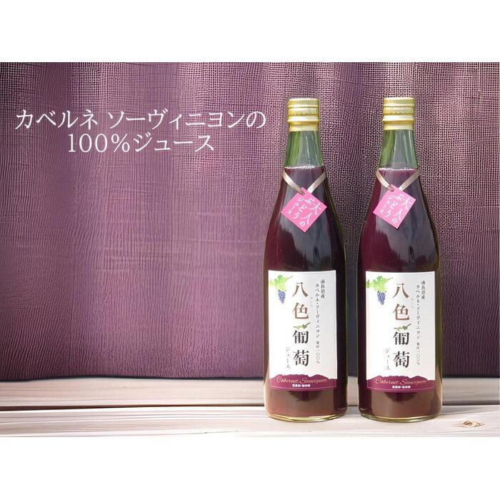 【ふるさと納税】カベルネ・ソーヴィニヨン　八色葡萄ジュース2本セット