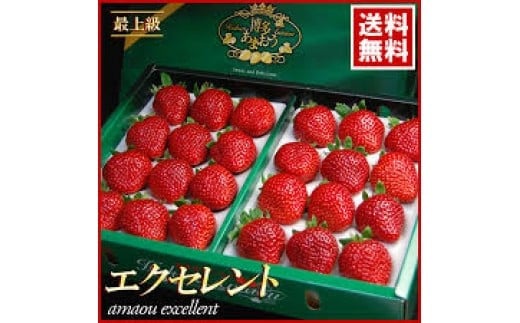  【期間限定】博多 あまおう いちご エクセレント 約450g×2パック