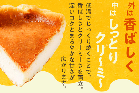 ベイクドチーズケーキ18cm（1個） 6号 約6～8人前 スイーツ ケーキ チーズケーキ 洋菓子 おやつ チーズ クリームチーズ 濃厚 ホール 冷凍 パーティ 誕生日 クリーム お祝い 手土産 福岡県