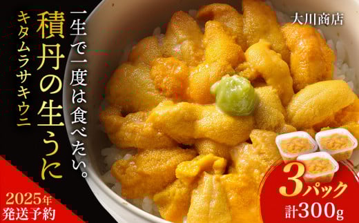 【2025年夏発送分】ムラサキウニ100g×3パック