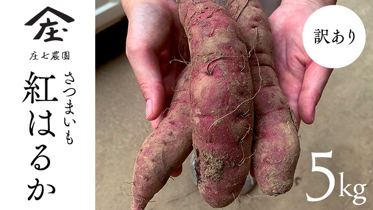 
                  ＜先行予約 ｜2026年9月中旬より出荷＞【 訳あり 】 さつまいも ！ 紅はるか 5kg サツマイモ 芋 いも べにはるか 茨城 美味しい おいしい ワケアリ 訳アリ 規格外 不揃い
                
