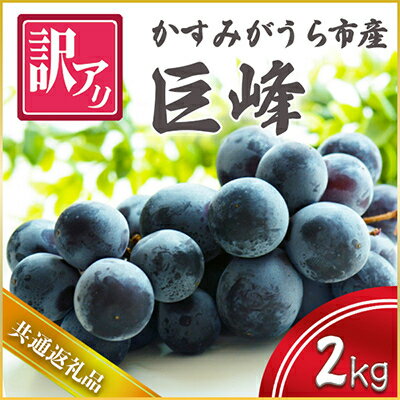 【ふるさと納税】【2025年10月より順次発送予定】訳あり巨峰　2kg (県内共通返礼品:かすみがうら市産)【配送不可地域：離島・沖縄県】 (BR072)