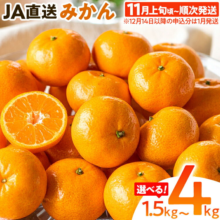 【ふるさと納税】期間限定 みかん フルーツ 果物 くだもの 選べる 1.5kg 4kg 柑橘 甘い 濃厚 ジューシー 産地直送 デザート おやつ オレンジ 福岡県 福岡 九州 グルメ お取り寄せ 【11月上旬頃から順次発送】