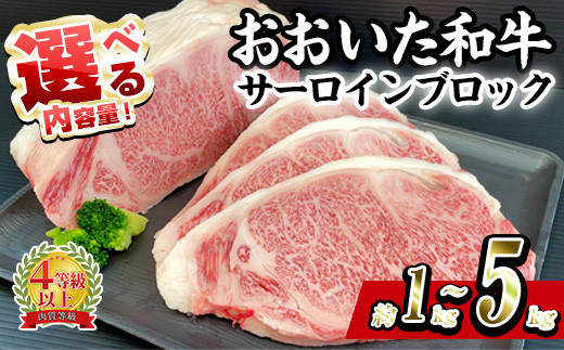 
                  ＜内容量が選べる＞ おおいた和牛 サーロイン ブロック (1kg・2kg・5kg) ステーキ サーロイン 焼肉 バーベキュー 焼くだけ 牛肉 肉 和牛 ブランド牛 牛肉 国産 国産ステーキ A4 大分県産 惣菜 おかず BBQ 【BD190・BD191・BD192】【西日本畜産 (株)】
                
