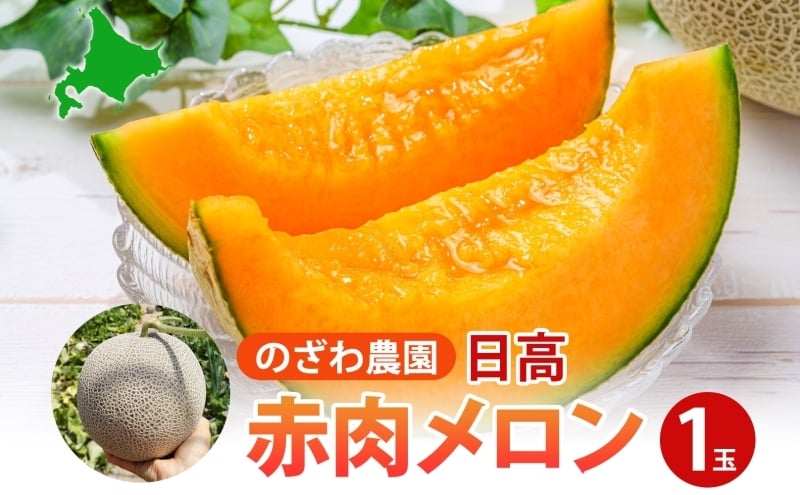 
            のざわ農園 日高 赤肉メロン 1玉 めろん メロン 赤い 甘い 夏 フルーツ 果実 ルピアレッド  糖度 甘み 濃厚 肥料 贈り物 お中元 お歳暮 常温 冷蔵庫 家族 デザート のざわ農園 北海道 日高町
          