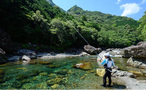 【O04】銚子川漁業協同組合「鮎 遊漁券」1枚 (2024年版年券）