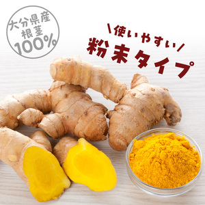 F09001　秋ウコン粉末 大分県産 栽培期間中は農薬・化学肥料未使用
