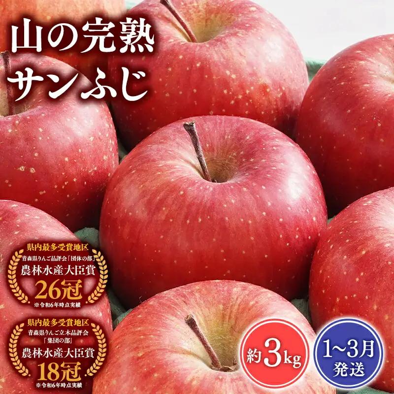 りんご 山の完熟サンふじ 約3kg   [hi-0010-009]